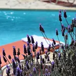 Charming In Lefkada With Private Pool * 塞沃塔
