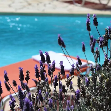 Charming In Lefkada With Private Pool Syvota